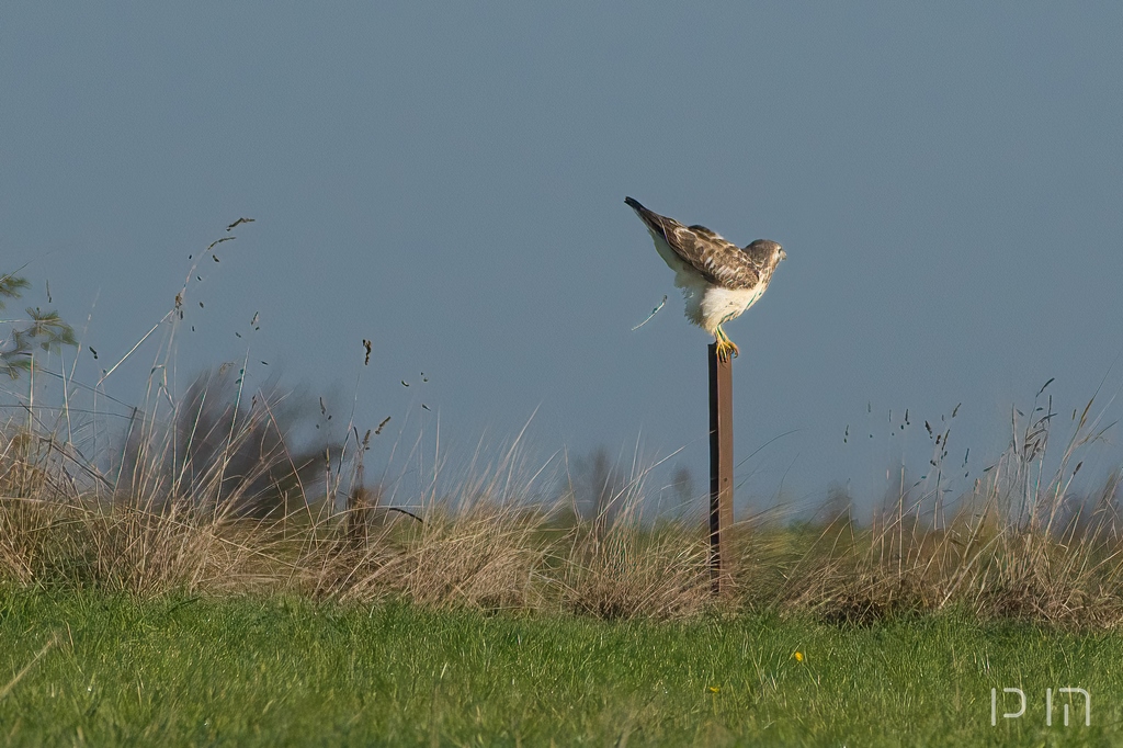 Buse variable (en délestage)